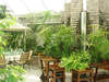 Bulgaria Hotel 